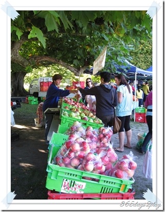 Hawkes Bay Apple Seller at Farmers Market