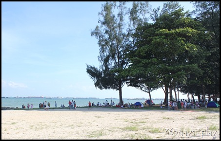 East Coast Park Trees