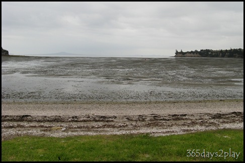 Shakespear Park - Cockle Picking (2)