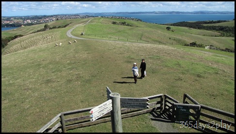 Shakespear Park - Views from the peak (5)