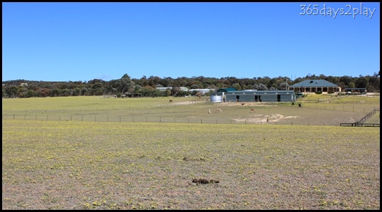 Lavendale Farmland (4)