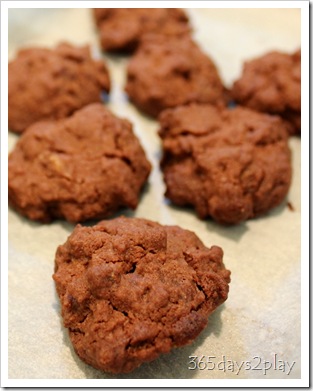 Chocolate Cookies (2)