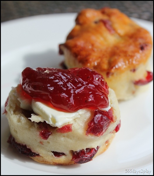 The Knolls - Scone with clotted cream and jam