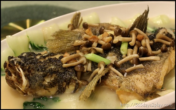 Braised Soon Hock Fish with Shark’s Bone Cartilage Soup (2)