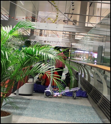 Changi Airport (11)