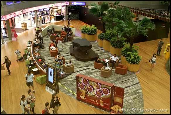 Changi Airport (3)