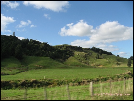 New Zealand North Island Countryside (2)