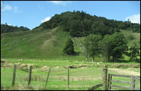 New Zealand North Island Countryside