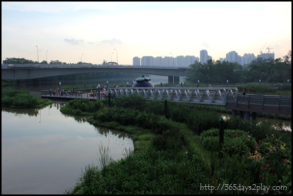 Sengkang Floating wetland (11)