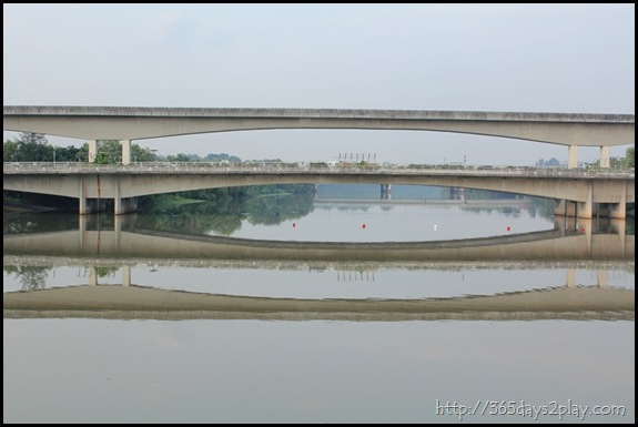 Sengkang Floating wetland (12)