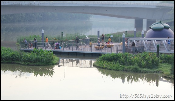 Sengkang Floating wetland (13)