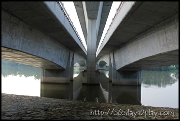 Sengkang Floating wetland (15)