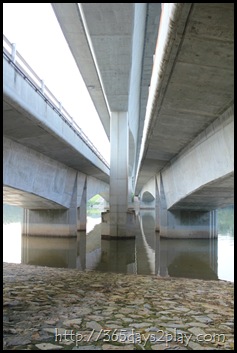 Sengkang Floating wetland (16)