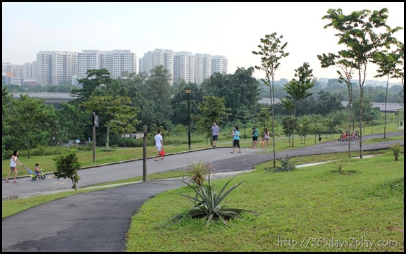 Sengkang Floating wetland (3)