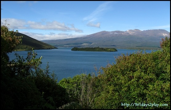 Tongariro Area