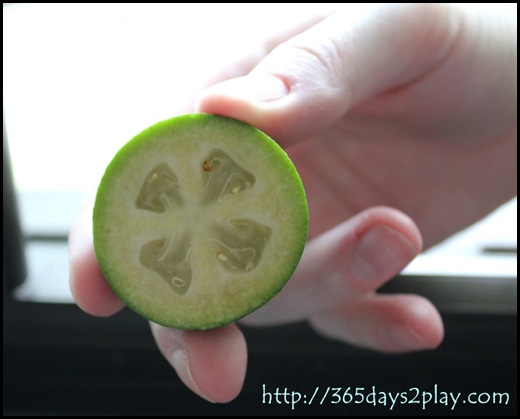 Feijoa from New Zealand