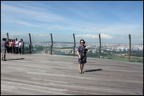 Marina Bay Sands SkyPark (2)