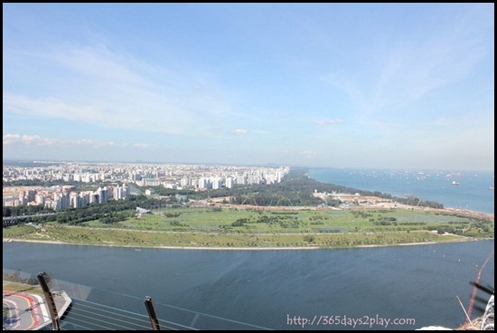 View from Marina Bay Sands SkyPark (3)