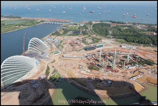 View from Marina Bay Sands SkyPark (7)