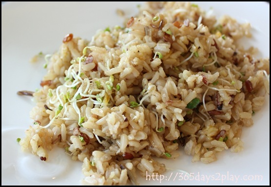 Dann's Daily - Wild Rice (2)