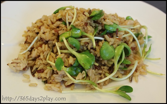 Dann's Daily - Wild Rice (3)