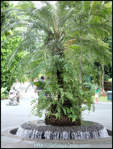 Botanic Garden