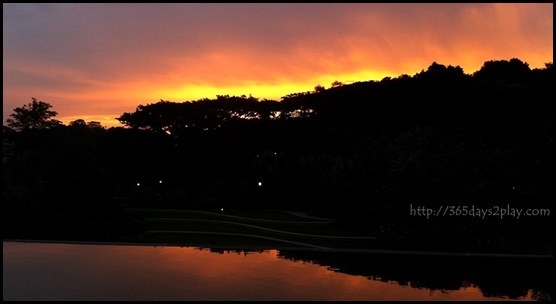 HortPark Sunset (5)