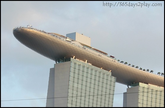 NDP 2011 (10)