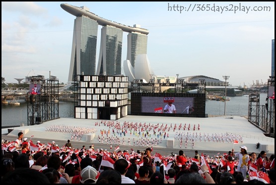 NDP 2011 (3)