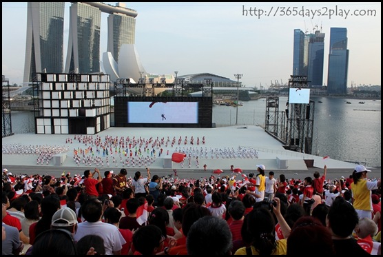 NDP 2011 (8)