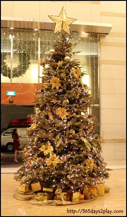 Grand Park City Hall Christmas Tree