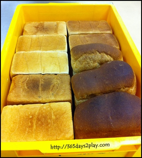 Baking Industry Training Centre - Plain loaves of bread