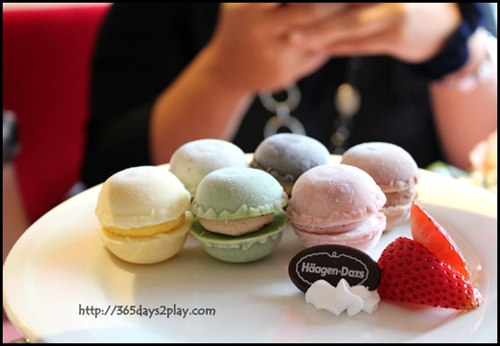 Hí¤agen-Dazs Girls' Day Out - Macaroon Mélange  (3)