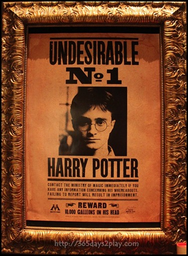 Harry Potter The Exhibition - Undesirable No 1