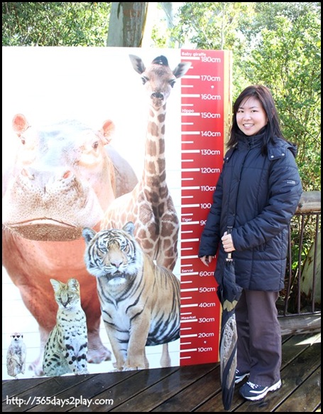 Auckland zoo (6)