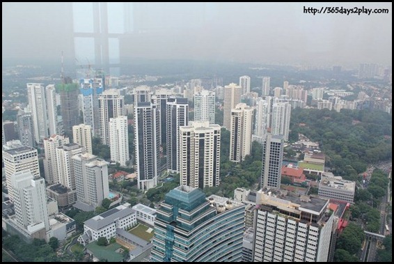 View of Bukit Timah Nature Reserve from Orchard Road