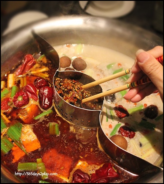 Quan - Sichuan Style Spicy Soup and Tonkotsu Soup (3)