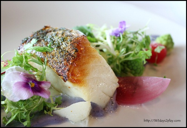 Il Lido Sentosa - Silver Cod with Vitelotte Garlic Fondue and Romanesco $45 (3)