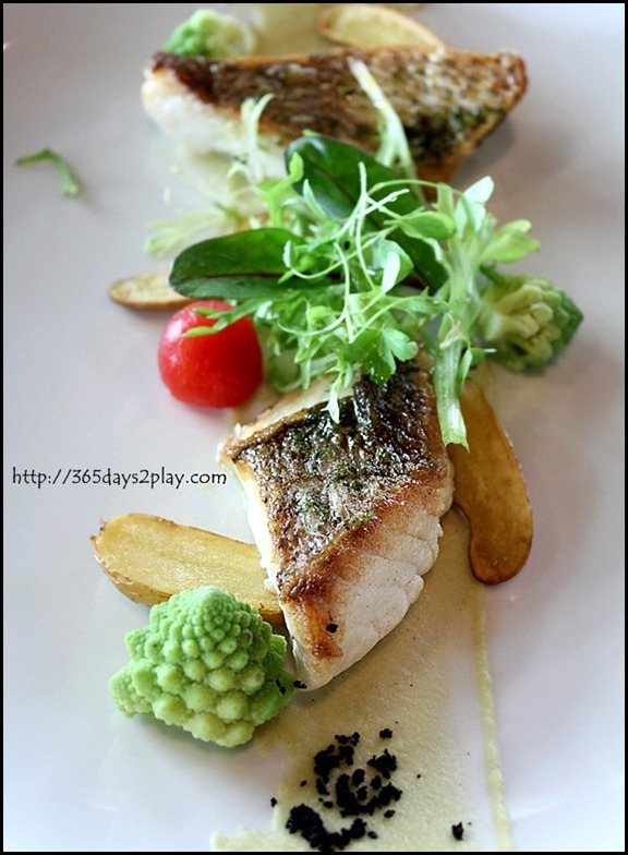 Il Lido Sentosa - Wild Snapper with Romanesco and Caclucco sauce (1)