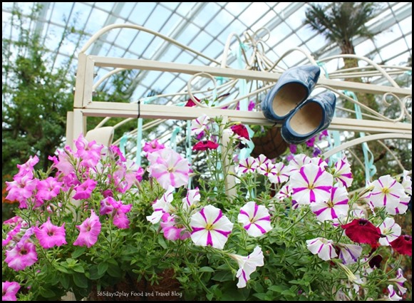 Gardens by the Bay Flower Dome Tulips (18)