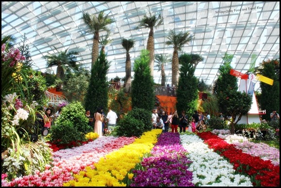 Gardens by the Bay Flower Dome Tulips (23)