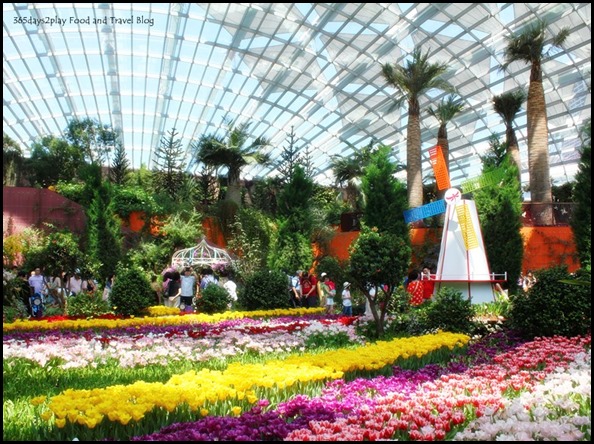 Gardens by the Bay Flower Dome – 365days2play Fun, Food & Family