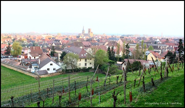 Chateau D'Isenbourg Les Tommeries Restaurant (24)