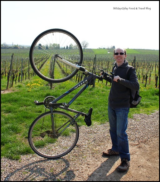 Cycling around Chateau d'Isenbourg (8)