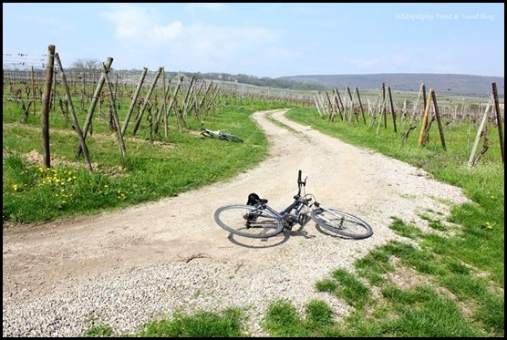 Cycling around Chateau d'Isenbourg