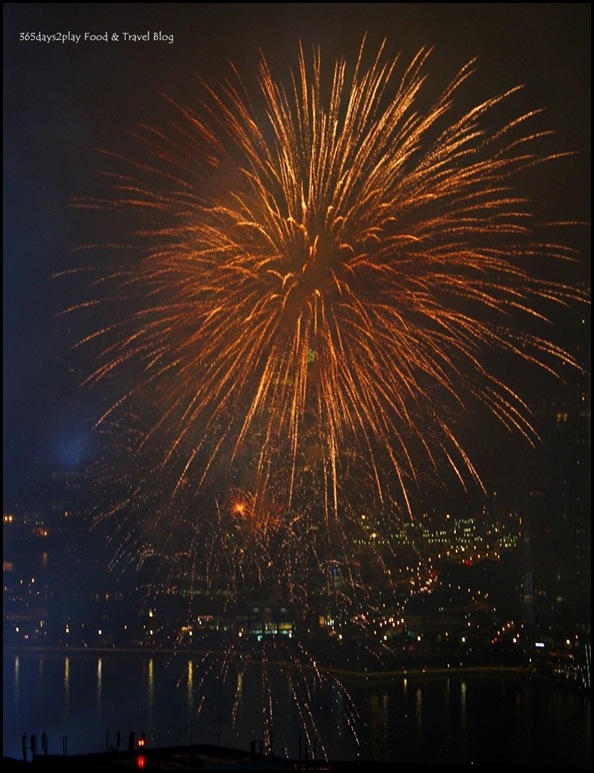 National Day Fireworks (12)
