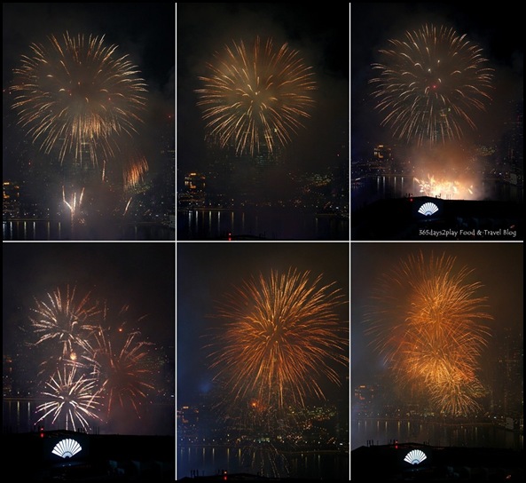 National Day Fireworks (6)