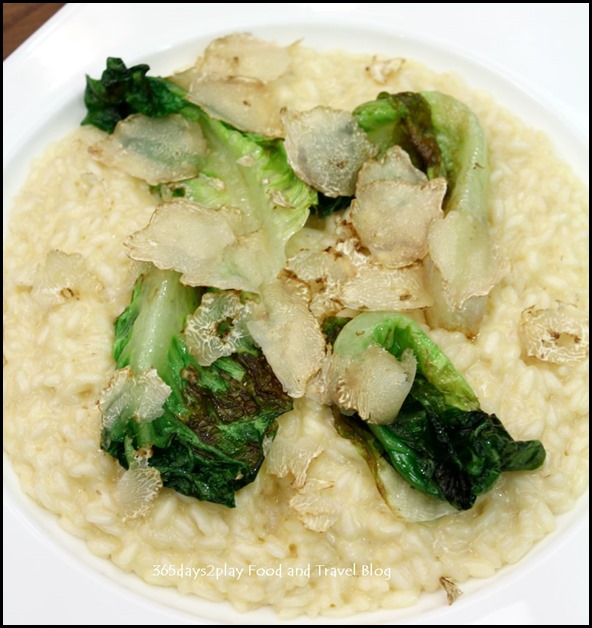 Zafferano - Risotto with seared lettuce and white truffle $42