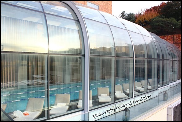 The Shilla - Swimming Pool (9)