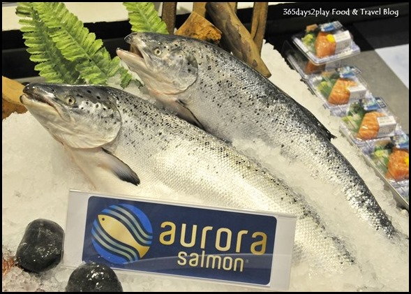 Aurora Salmon (7)